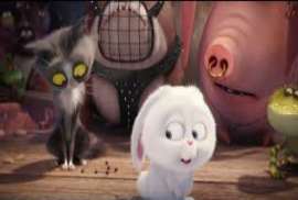 The Secret life of Pets NEW